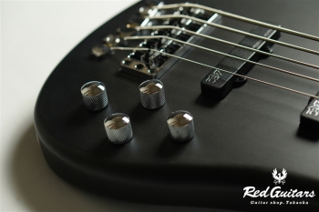 RockBass STREAMER LX 5